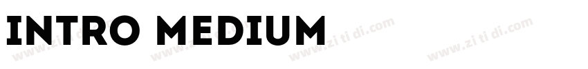 Intro Medium字体转换